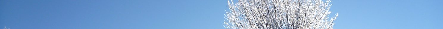 Winter is the Time for Dreaming