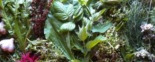 Herbal Vinegar