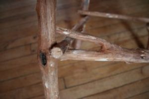 legdetail