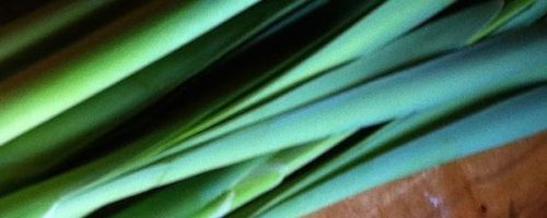 Cattail Raita