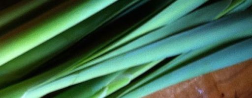 The Sacred Gardener Cattail Raita