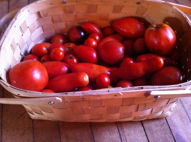 tombasket