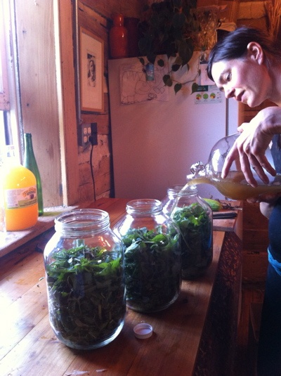 Herbal Vinegar - Image 4